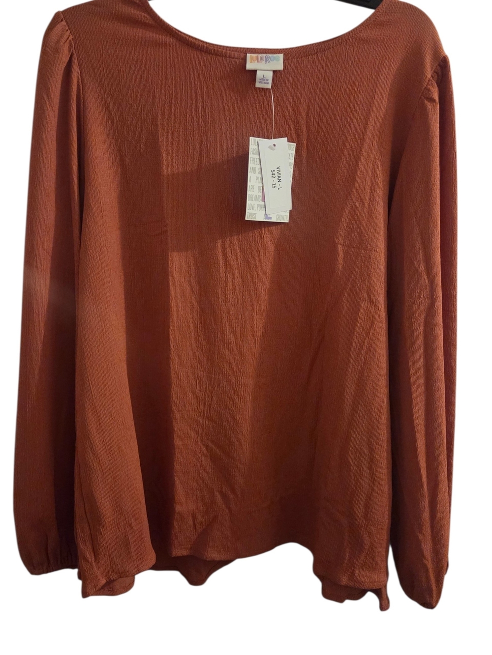 LuLaRoe Rust Brown Long Sleeve Scoop Neck Top